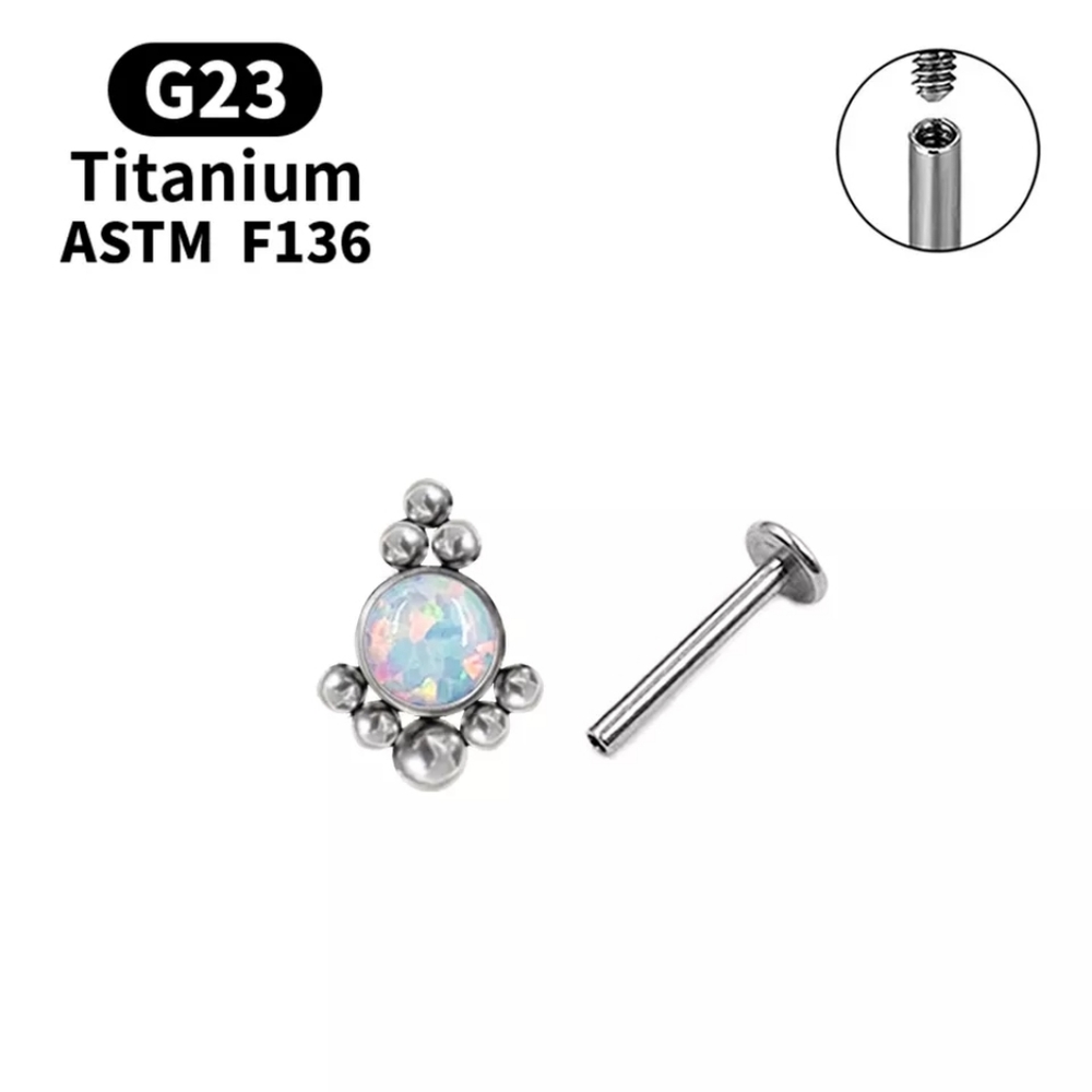 Titanium piercing earring